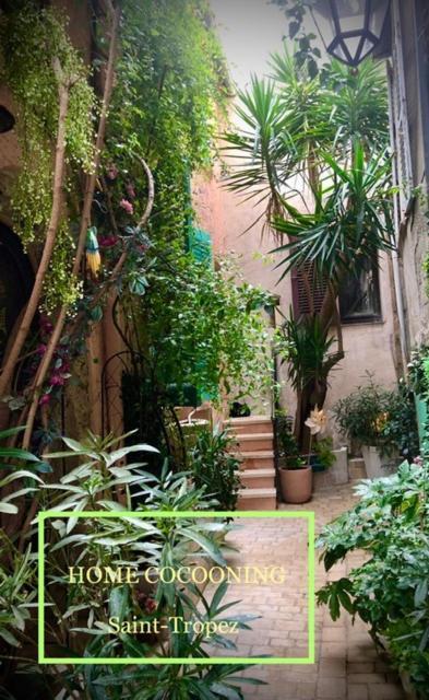Petite Maison Mitoyenne Au Coeur De Saint Tropez 外观 照片