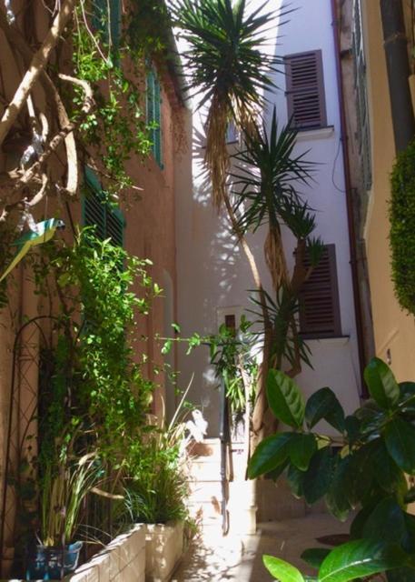 Petite Maison Mitoyenne Au Coeur De Saint Tropez 外观 照片